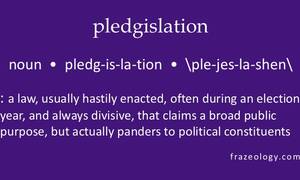 New Word: Pledgislation