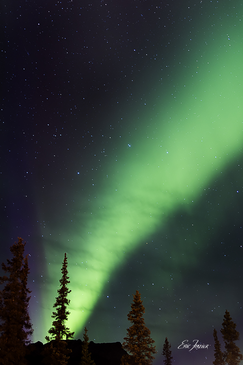 Northern Lights captured in Denali National Park, September 16, 2025, by Eric F. Frazier