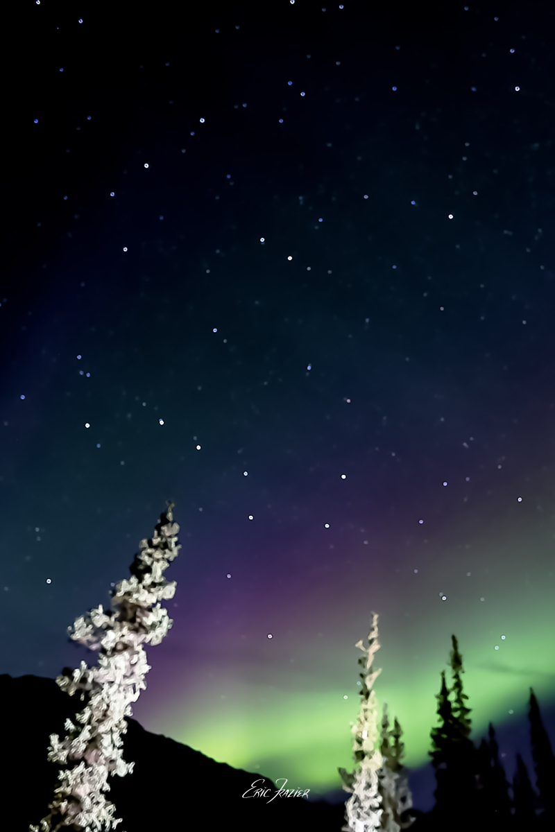 Northern Lights captured in Denali National Park, September 16, 2025, by Eric F. Frazier