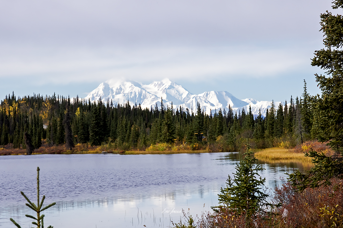 This view of Mt. McKinley from about 40 miles away on the Denali Highway was our first barely unobstructed one. Captured September 17, 2025, by Eric F. Frazier.