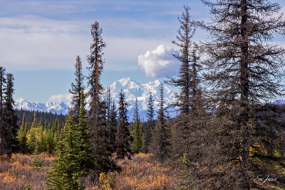 Finally, the cloud layer that hovered along the peak moved on, and we were treated to unobstructed views (except for the trees). Captured September 17, 2025, by Eric F. Frazier.