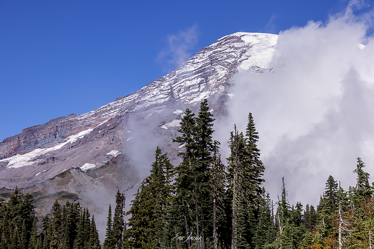 Another view of Mt. Rainier playing peek-a-boo with the clouds along the Nisqually River trail. Captured September 21, 2025, by Eric F. Frazier.