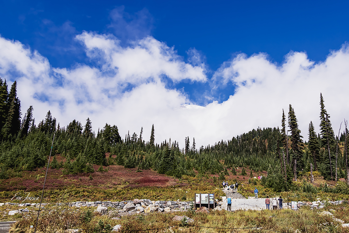 At the Henry Jackson Visitor Center at Rainier National Park, this shrouded view of the peak is not uncommon. Captured September 21, 2025, by Eric F. Frazier.
